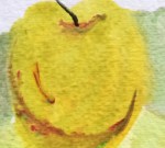 Detail of prior week's still-life