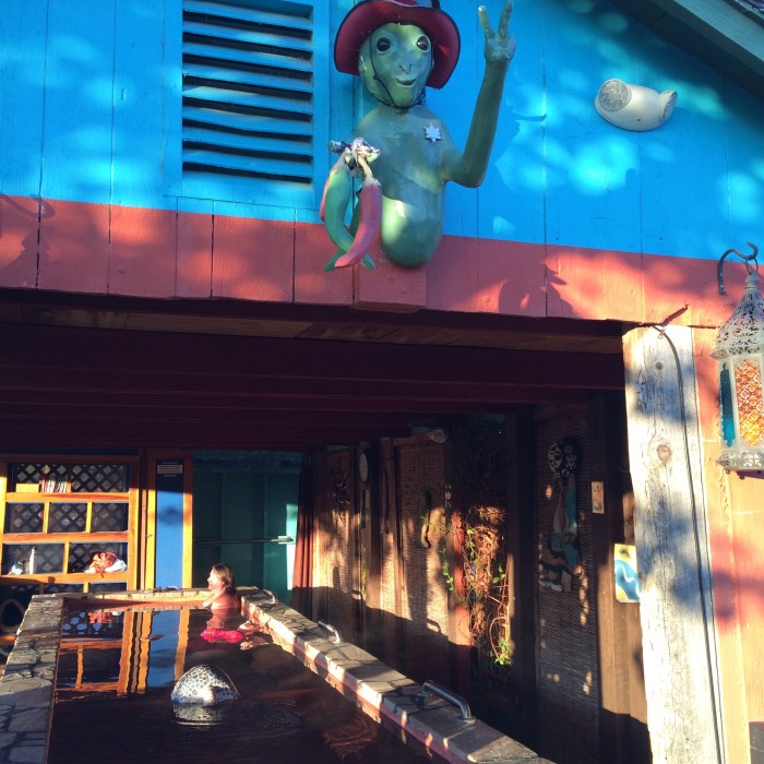 A friendly alien. It is The Land of Enchantment after all.